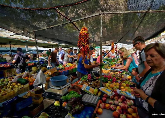 Luxury Phoenix * 波连萨港